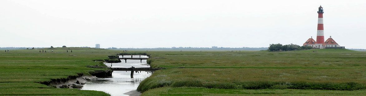 Fünf Gründe